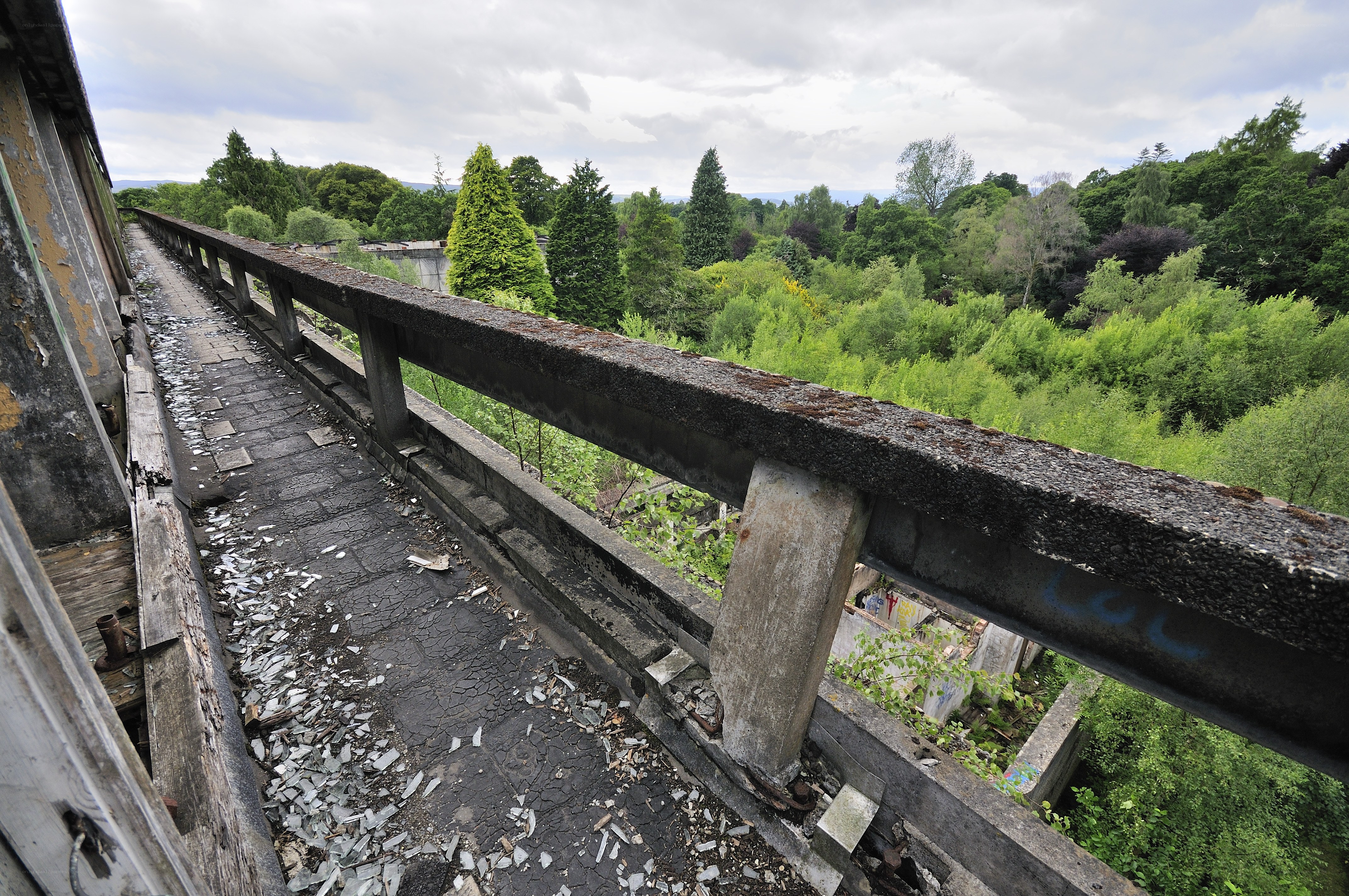 Abandoned bridge over forest
