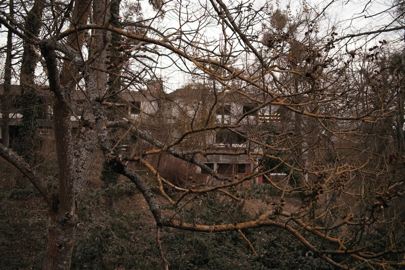 Abandoned building behind trees