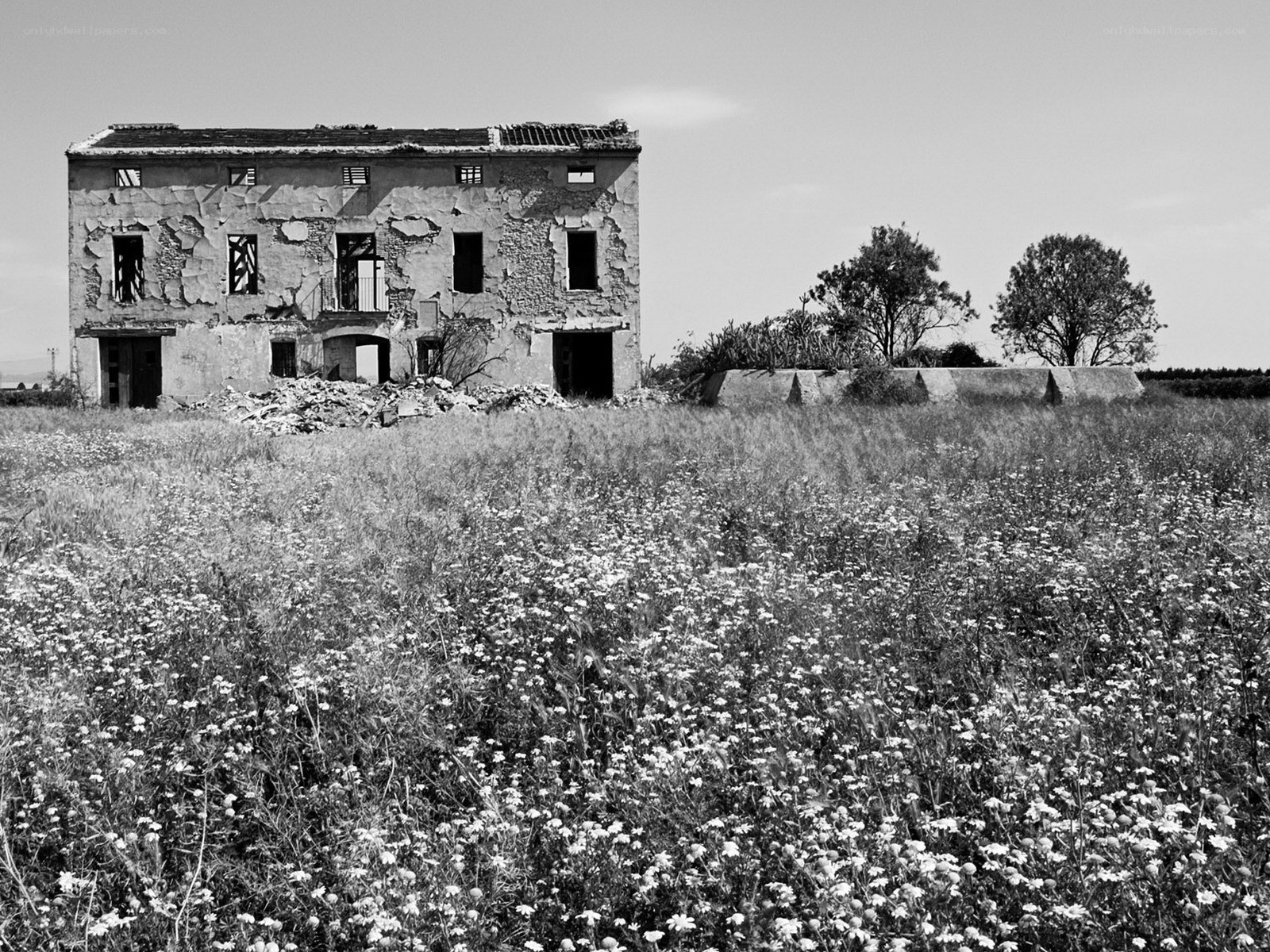Abandoned building in a field