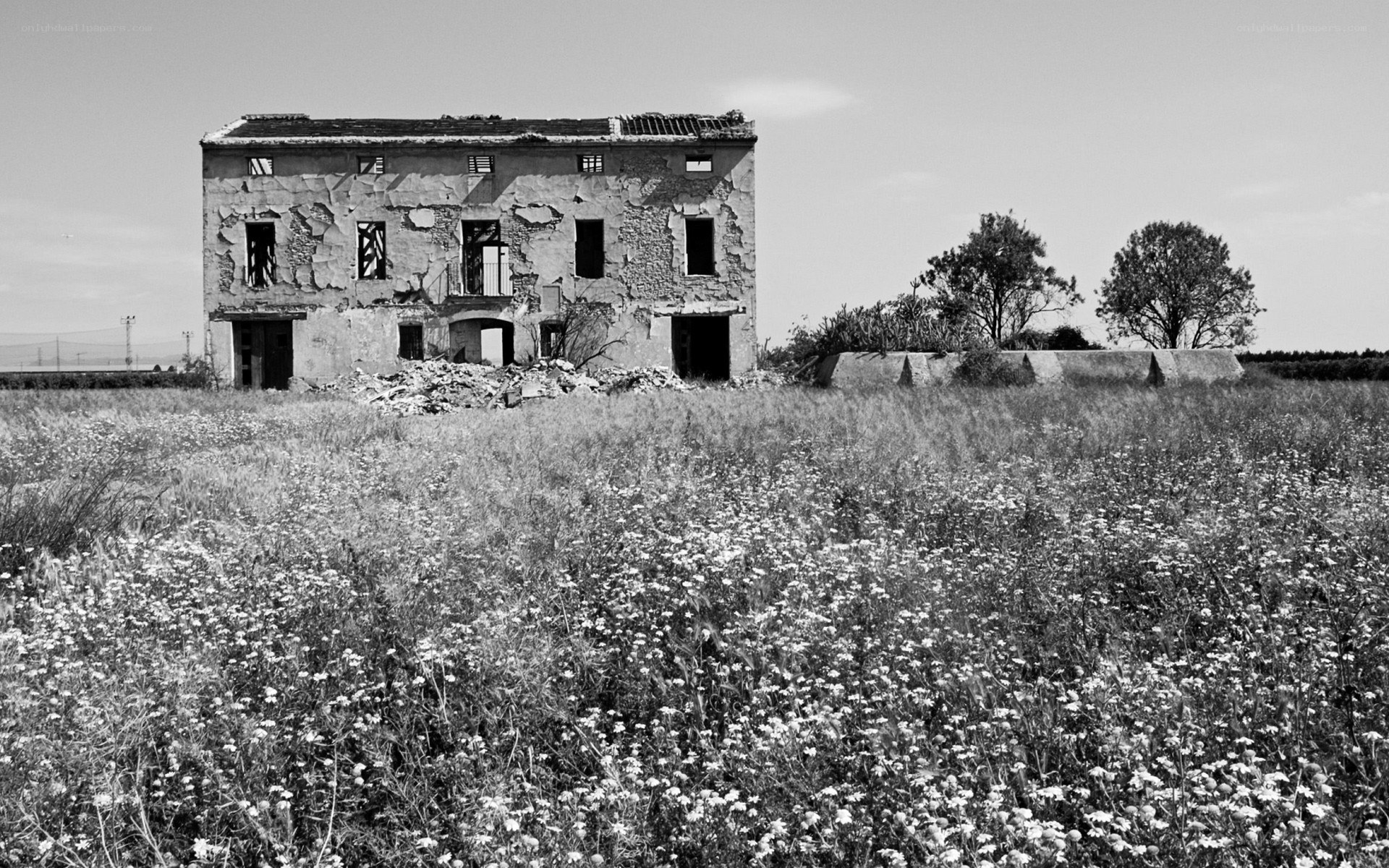 Abandoned building in a field