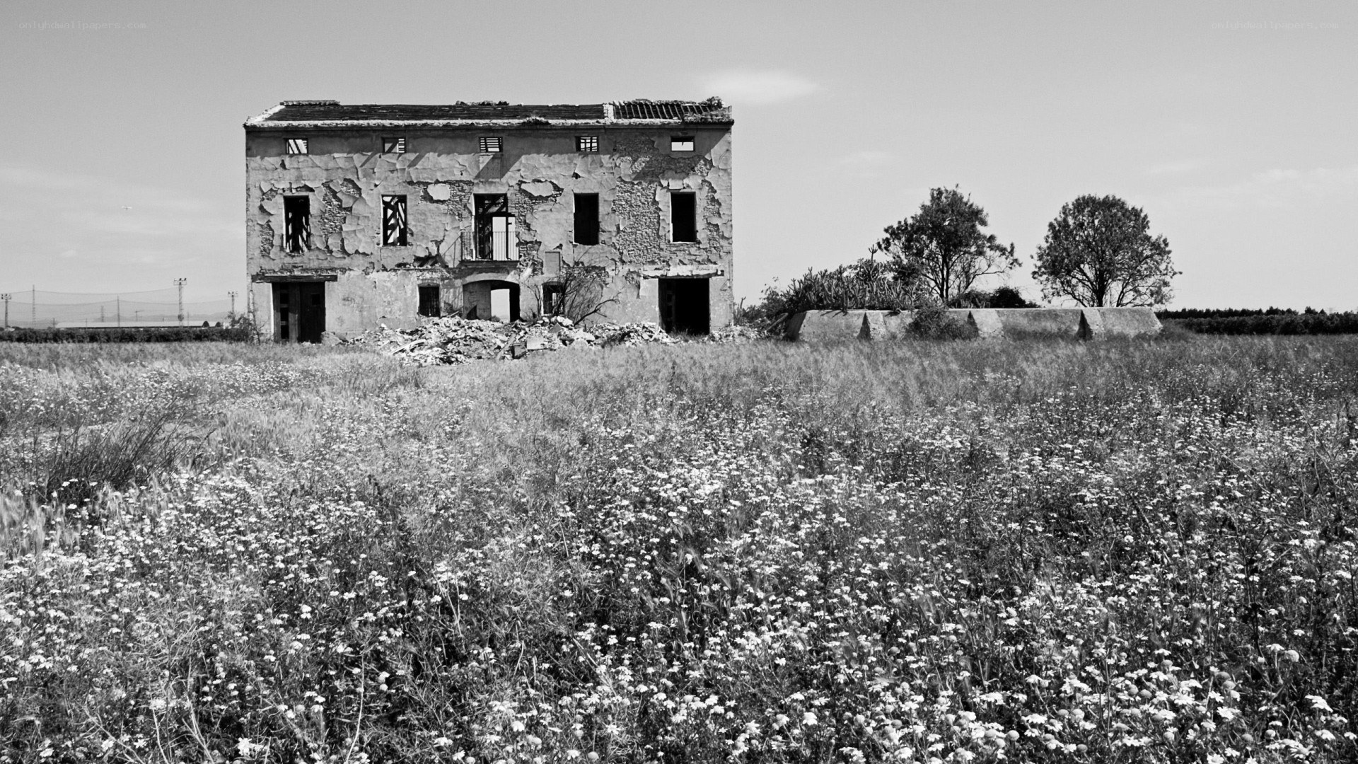 Abandoned building in a field