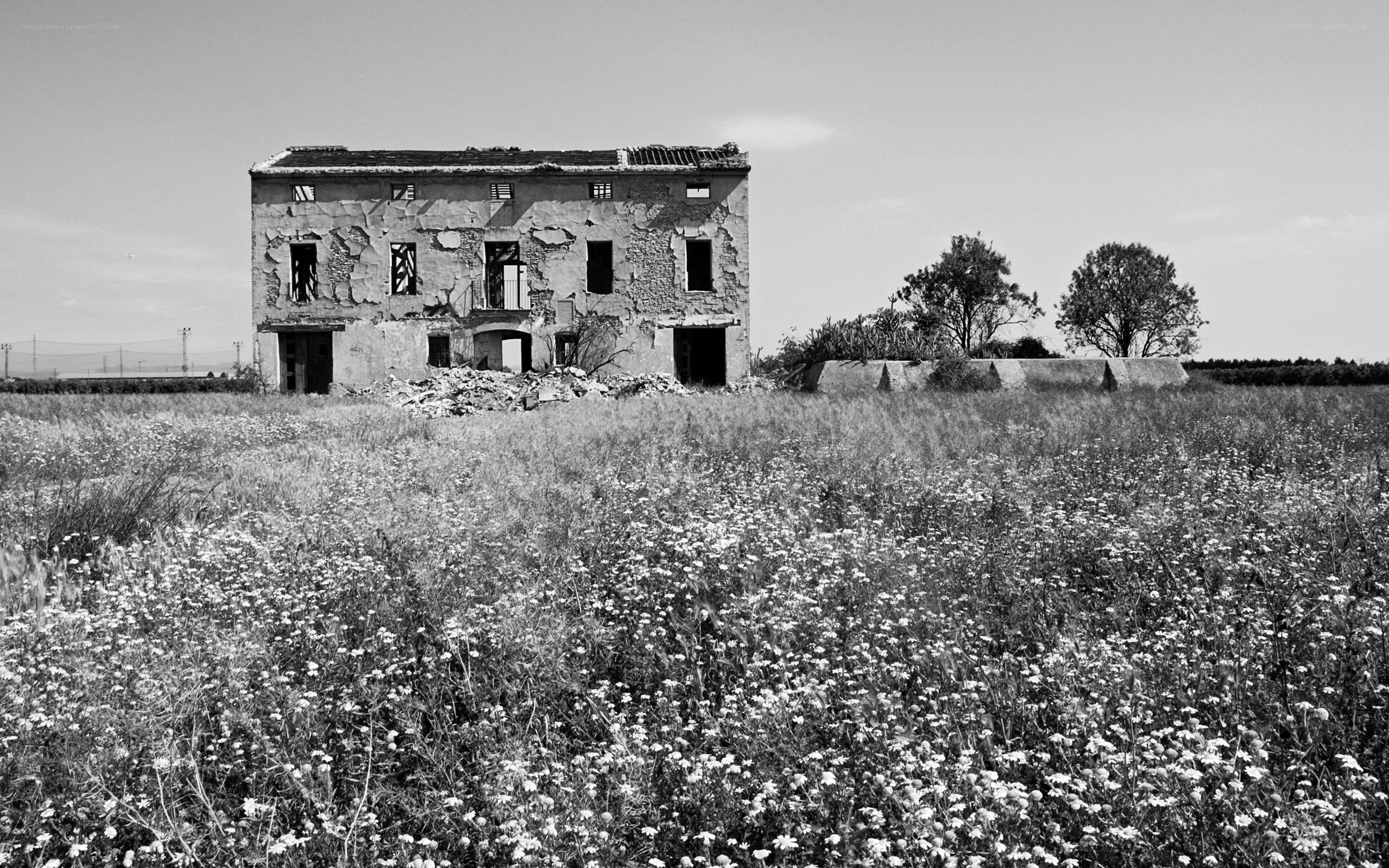 Abandoned building in a field