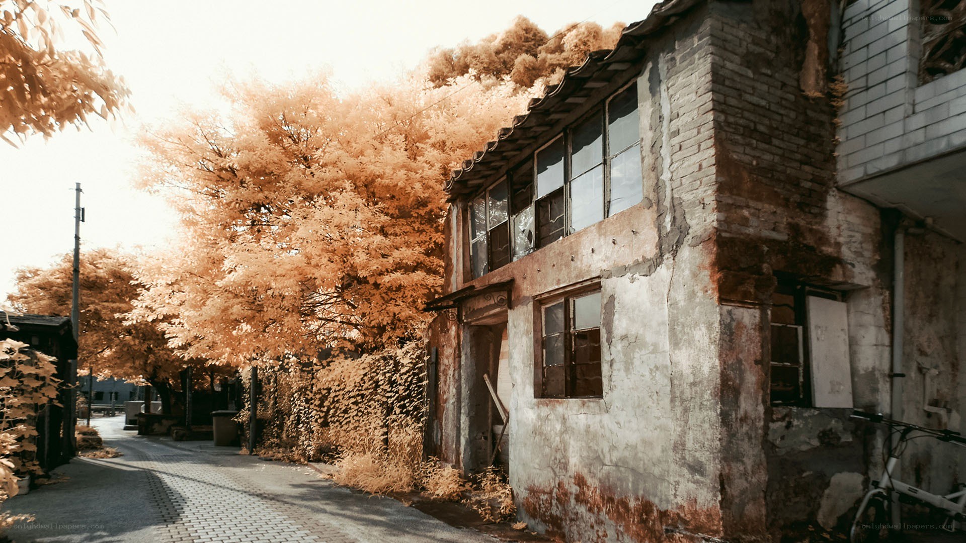 abandoned building in autumn