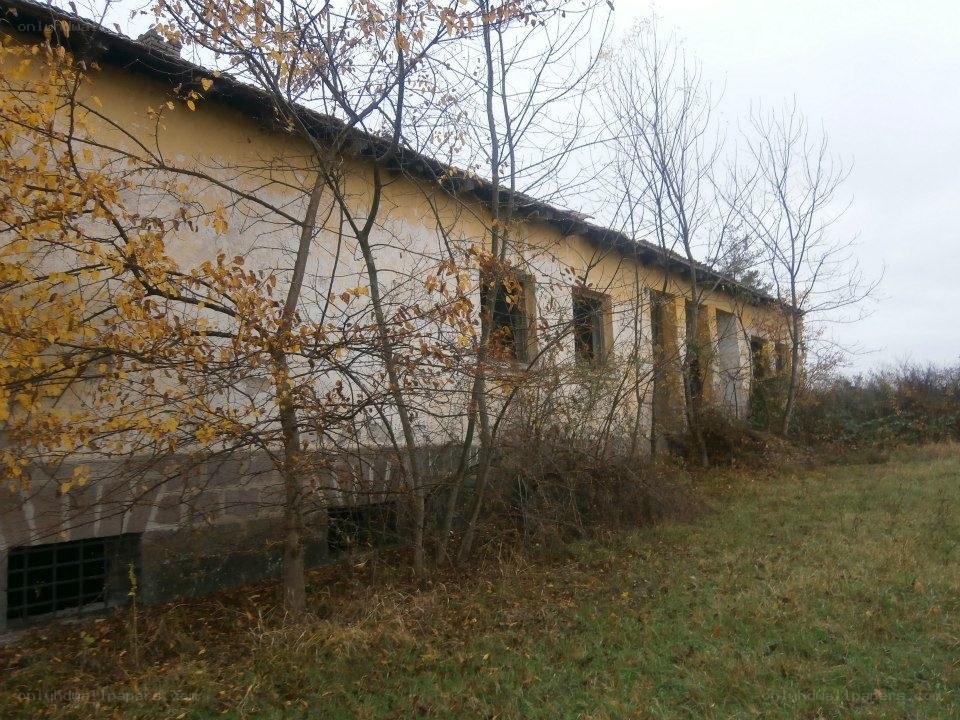 abandoned building in autumn