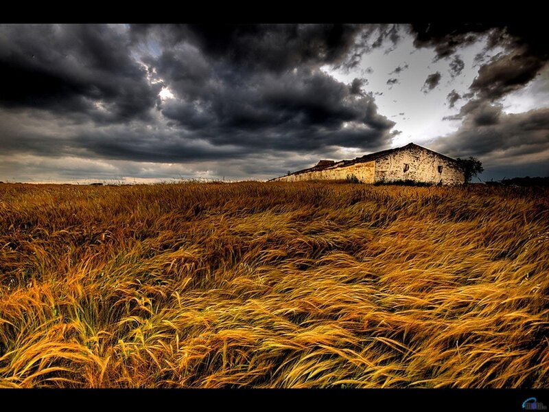 Abandoned Building in Field