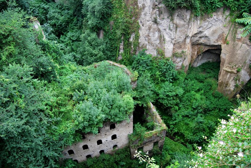 Abandoned building in forest