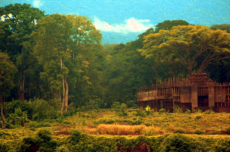 Abandoned building in forest