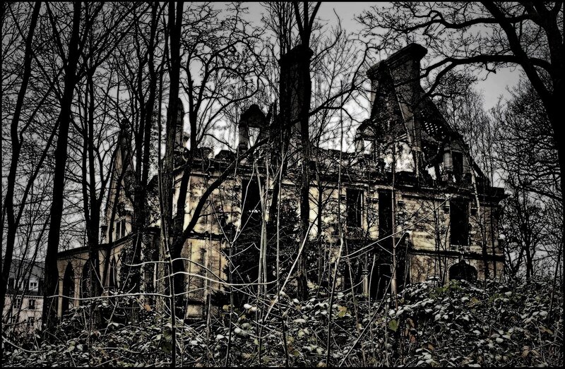 Abandoned Building in Forest — Black