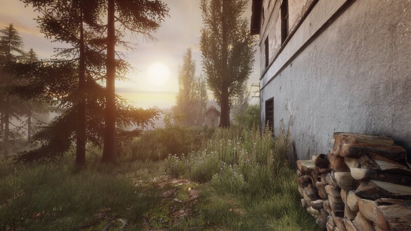 Abandoned Building in Forest — Green, Serene