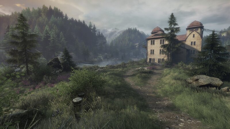 Abandoned Building in Forest — Green