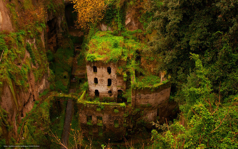 Abandoned building in forest