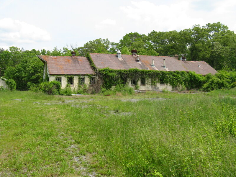 abandoned building in overgrown field