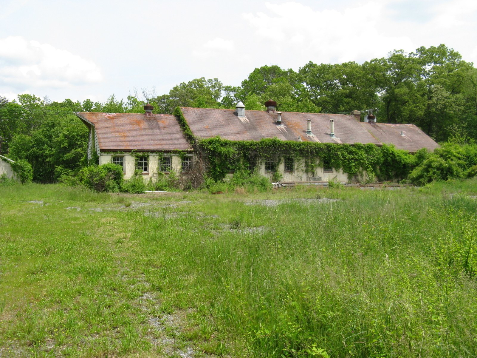 abandoned building in overgrown field