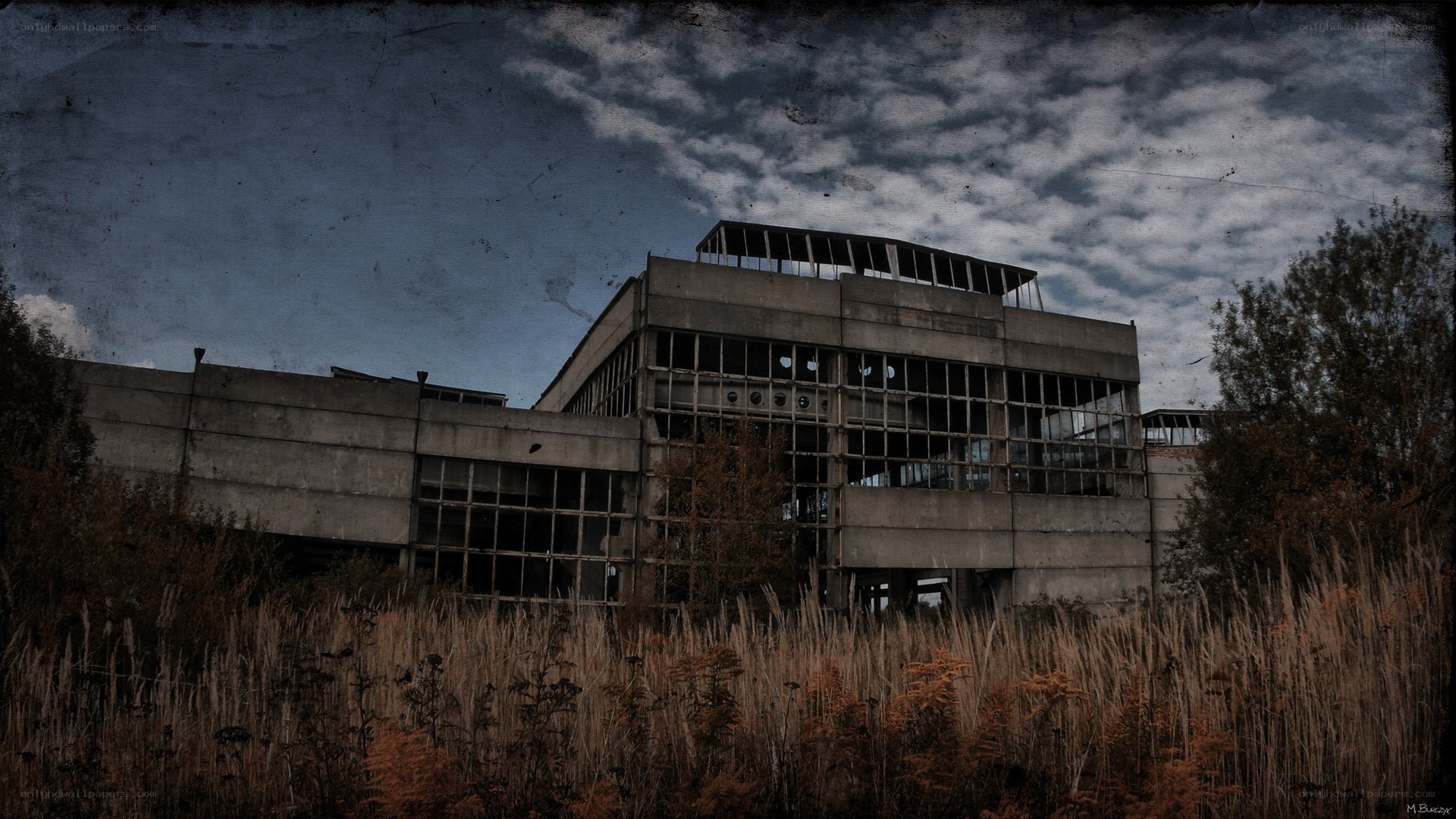 Abandoned building in overgrown field