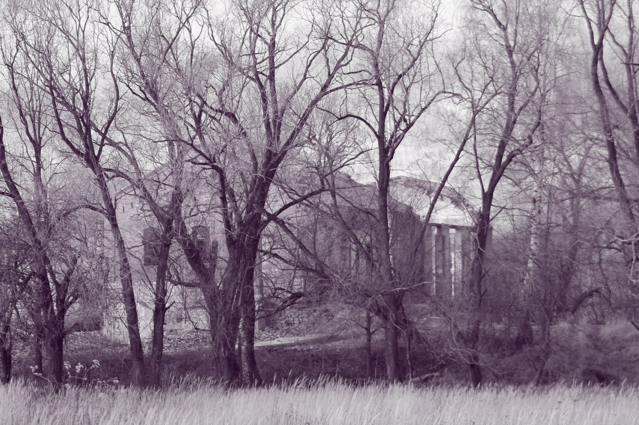 abandoned building in wooded area
