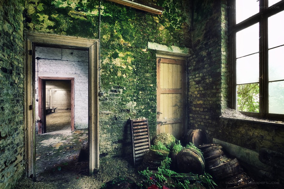 abandoned building interior