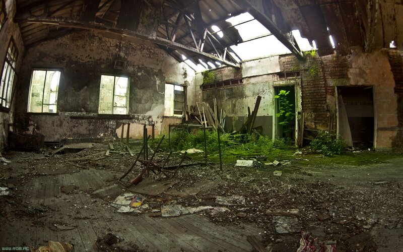 Abandoned Building Interior — Green, Desolate, Photograph