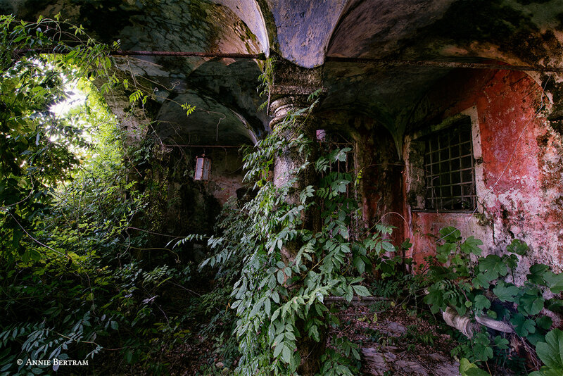 Abandoned Building Interior — Green, Overgrown
