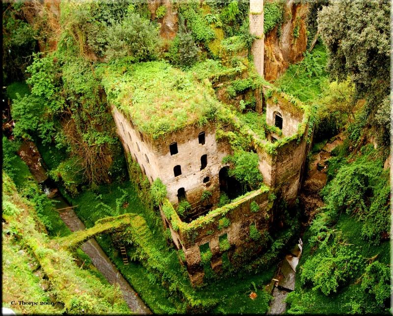 Abandoned building overgrown with greenery