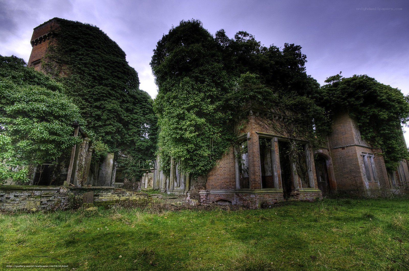 Abandoned building overgrown with ivy