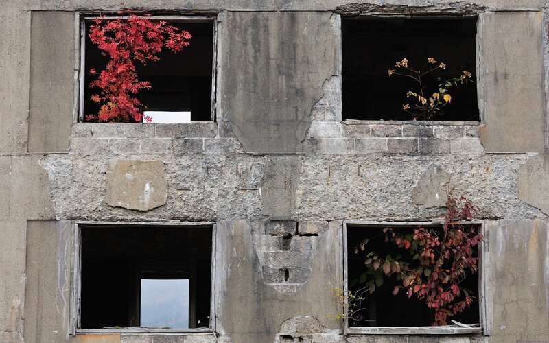 Abandoned building with autumn plants