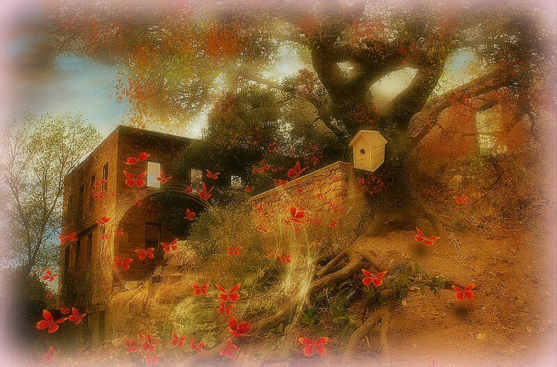 Abandoned Building with Butterflies