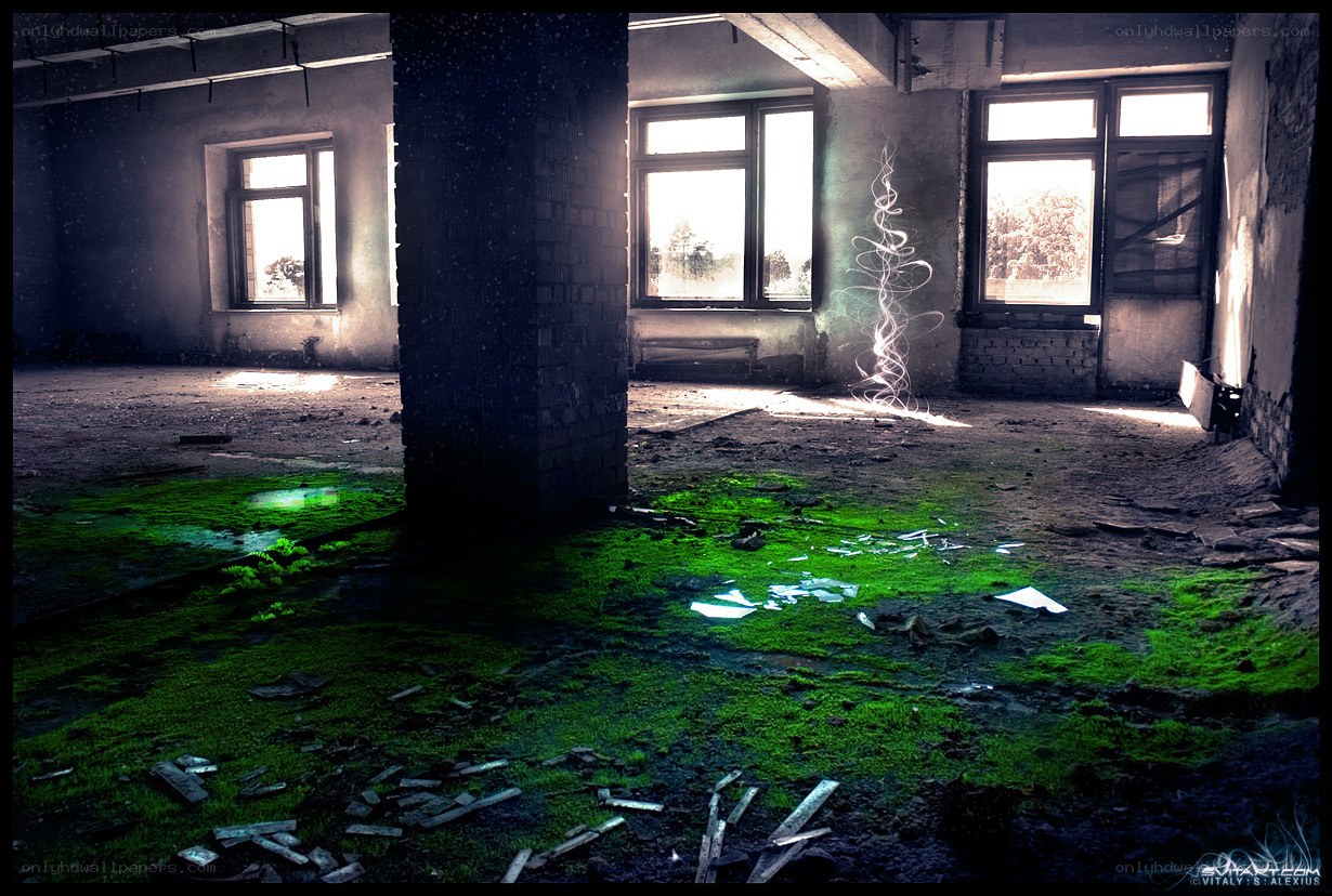 abandoned building with green moss