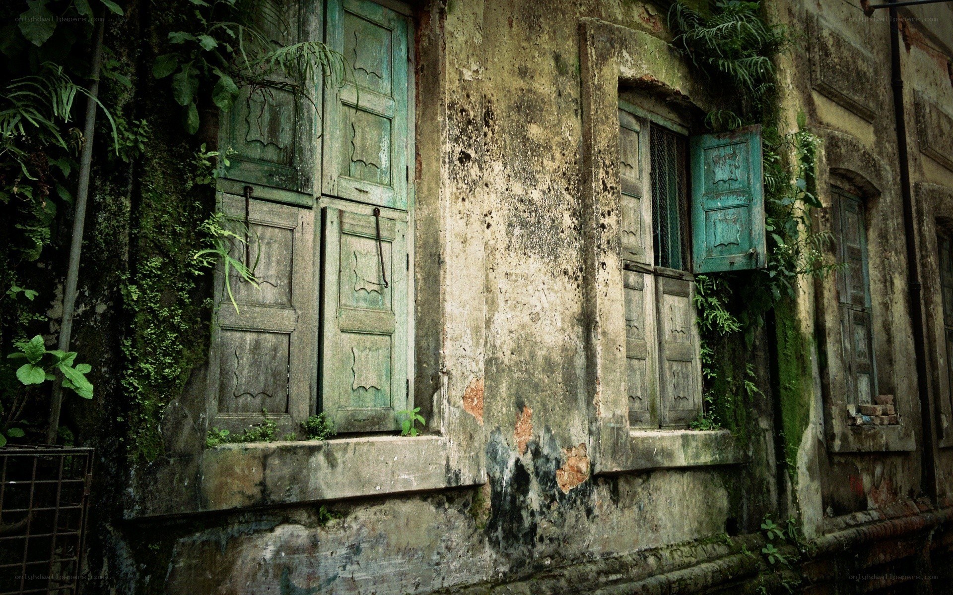 abandoned building with green shutters