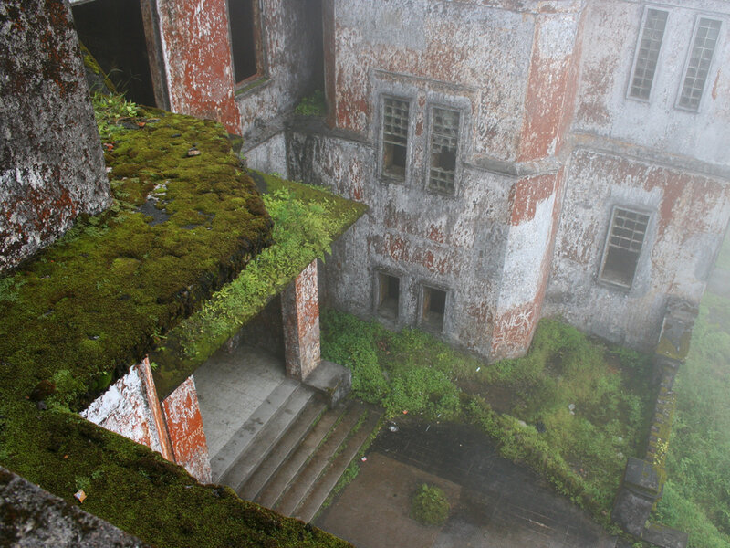 abandoned building with moss