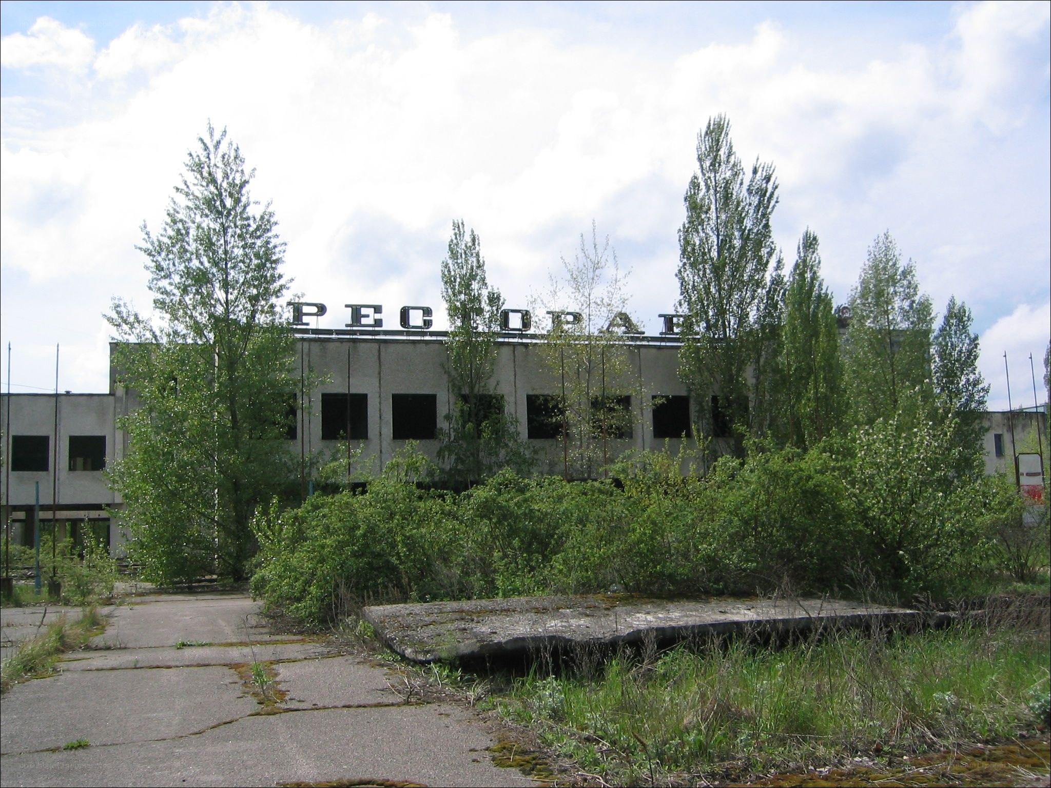Abandoned building with overgrown vegetation