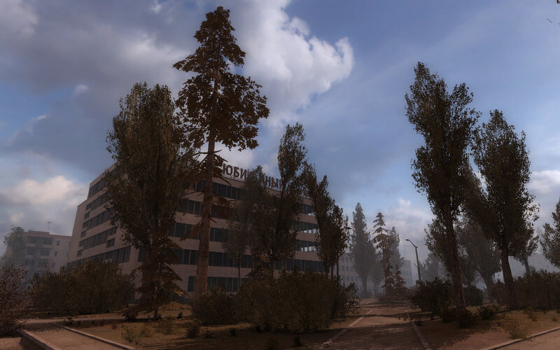 abandoned building with trees