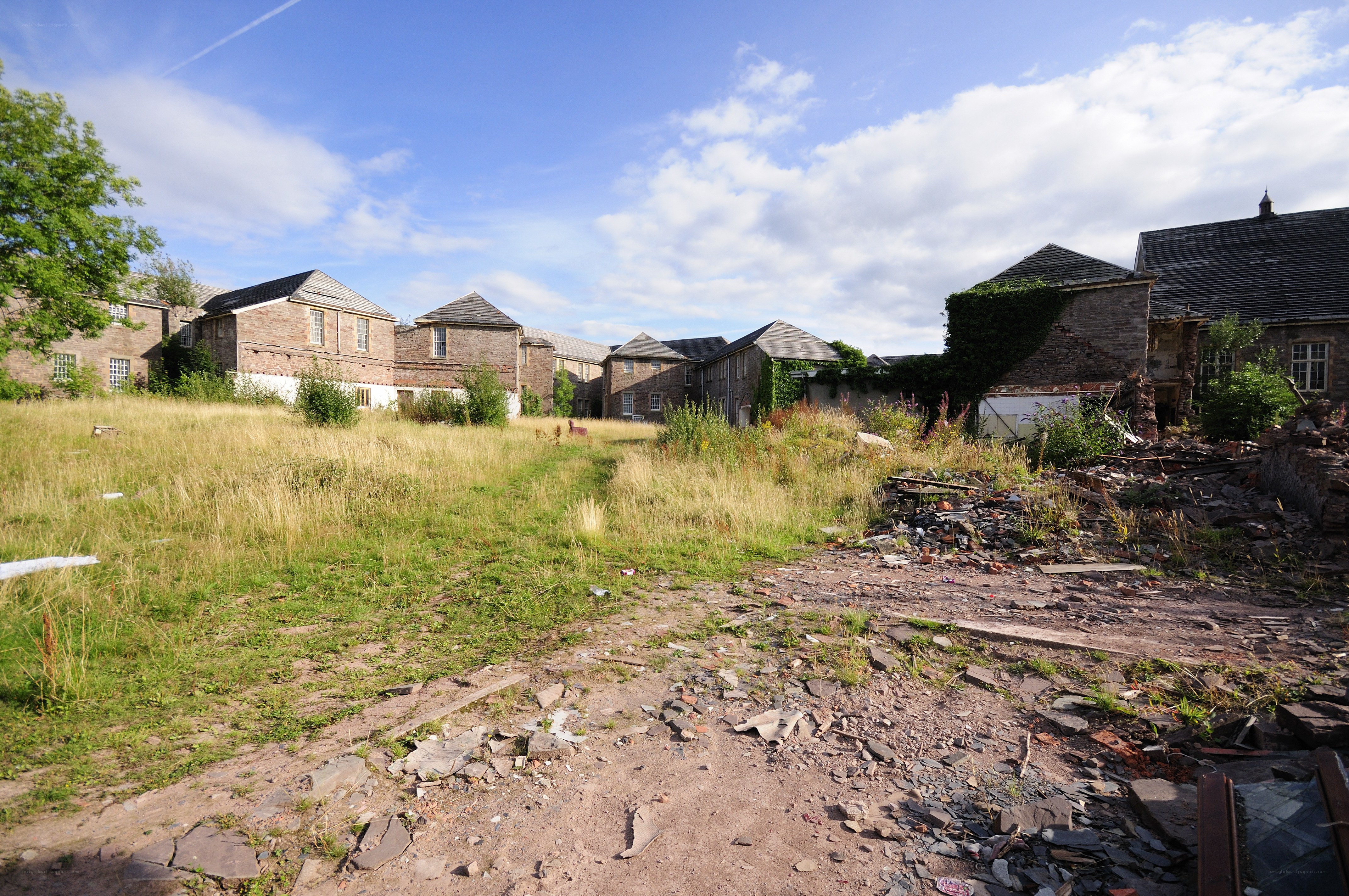 Abandoned buildings and overgrown yard