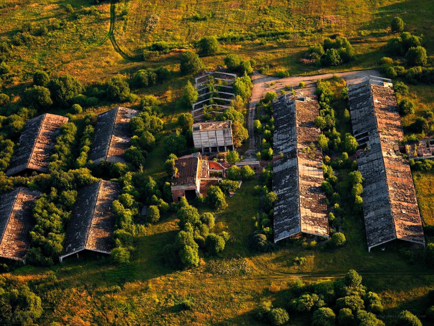 Abandoned buildings in a field
