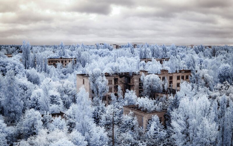 Abandoned Buildings in Forest — White