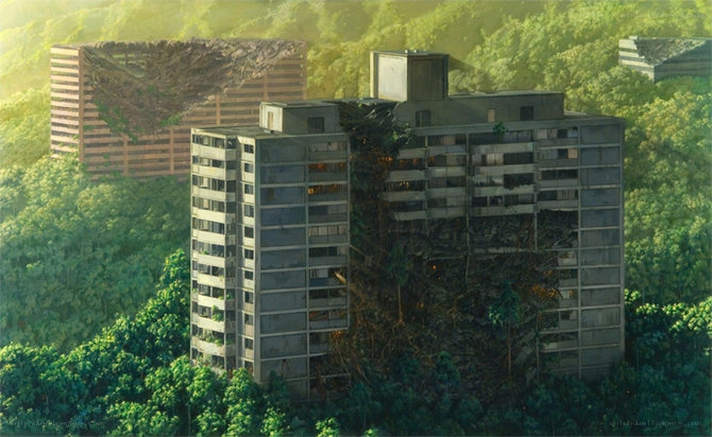 Abandoned buildings in forest