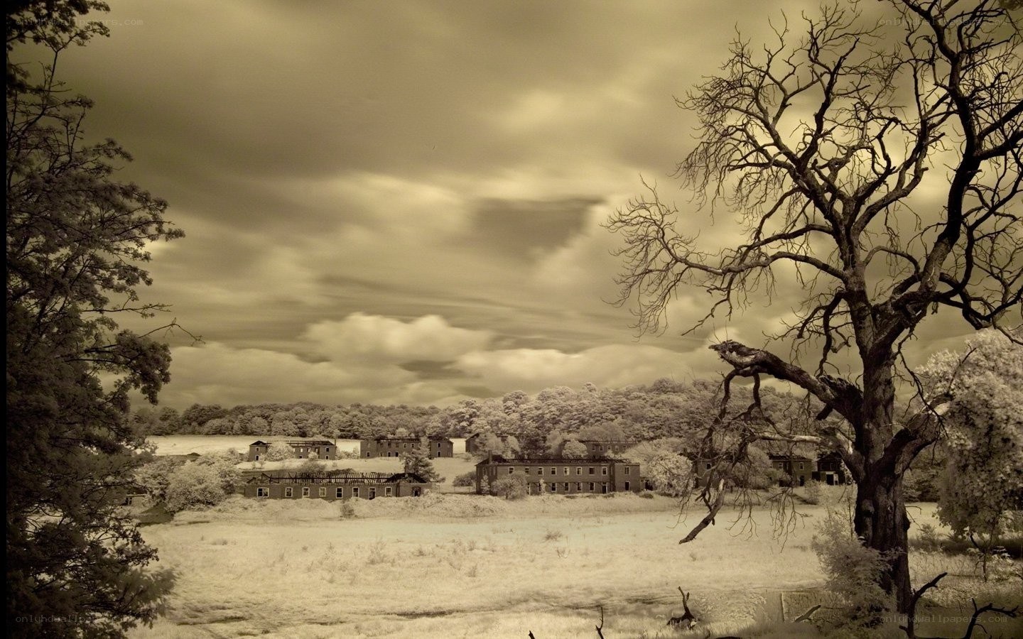 Abandoned buildings in infrared