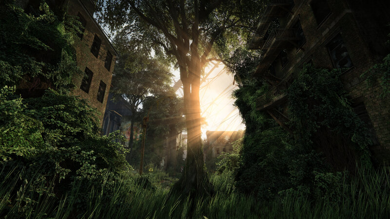 Abandoned Buildings Overgrown