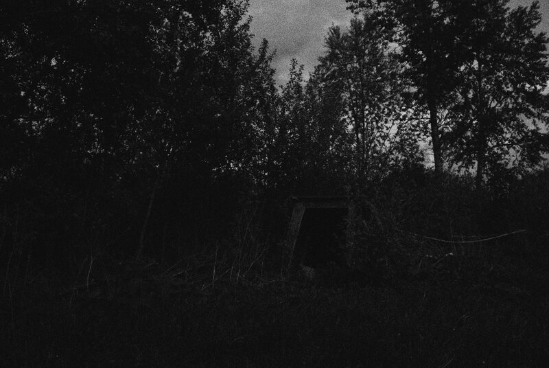 Abandoned Bunker in Forest