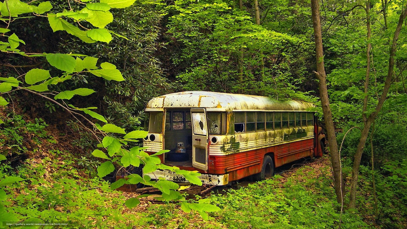 Abandoned bus in forest