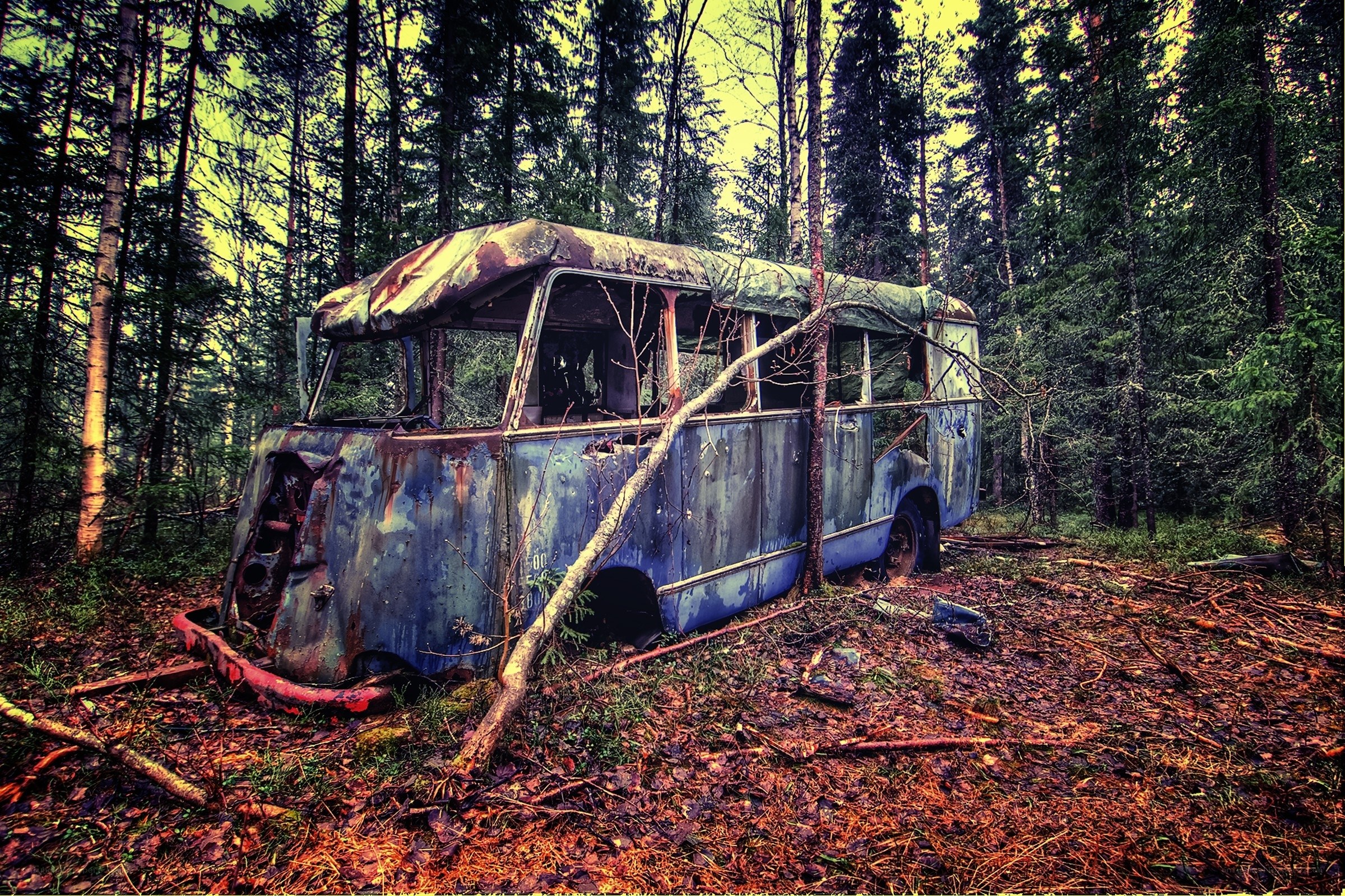 abandoned bus in forest