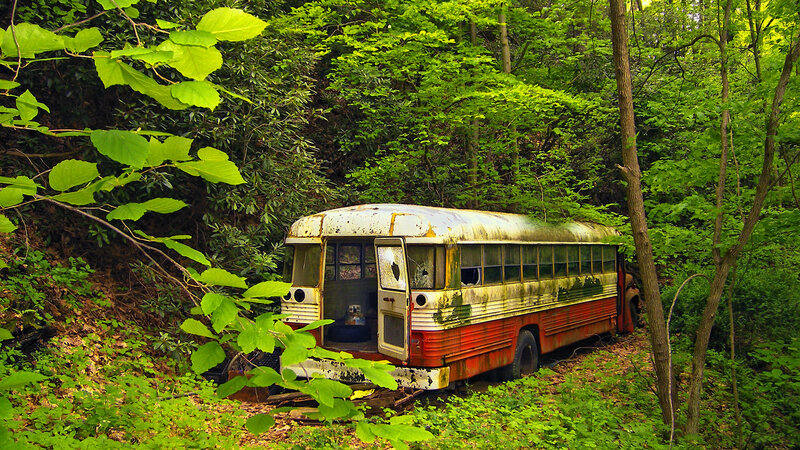 Abandoned bus in forest