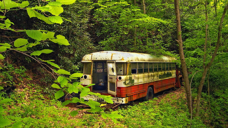 Abandoned bus in forest