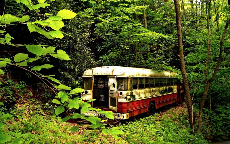 Abandoned bus in forest