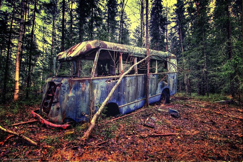 Abandoned Bus in Forest — Blue, Desolate, Afternoon