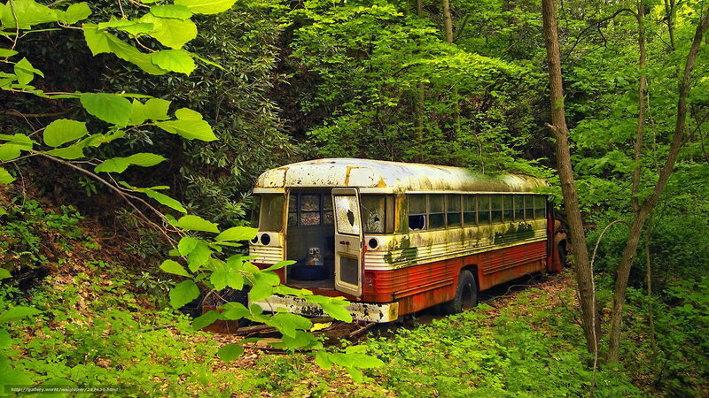 Abandoned Bus in Forest — Green, Overgrown