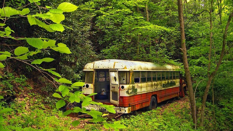 Abandoned Bus in Forest — Green
