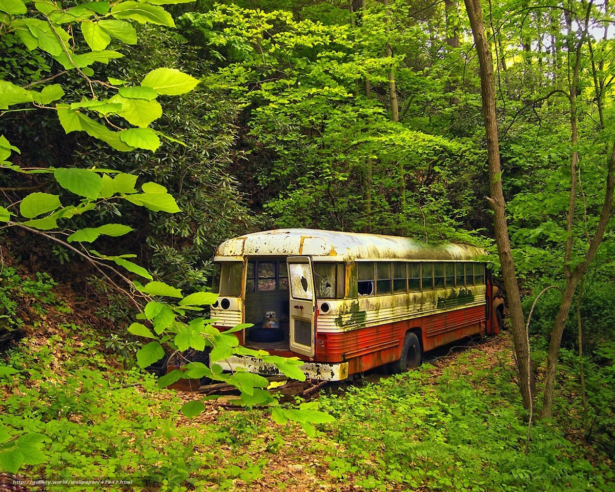 Abandoned bus in forest