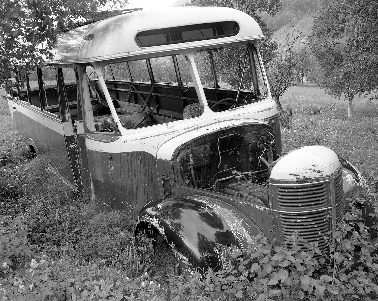 Abandoned bus in overgrown field