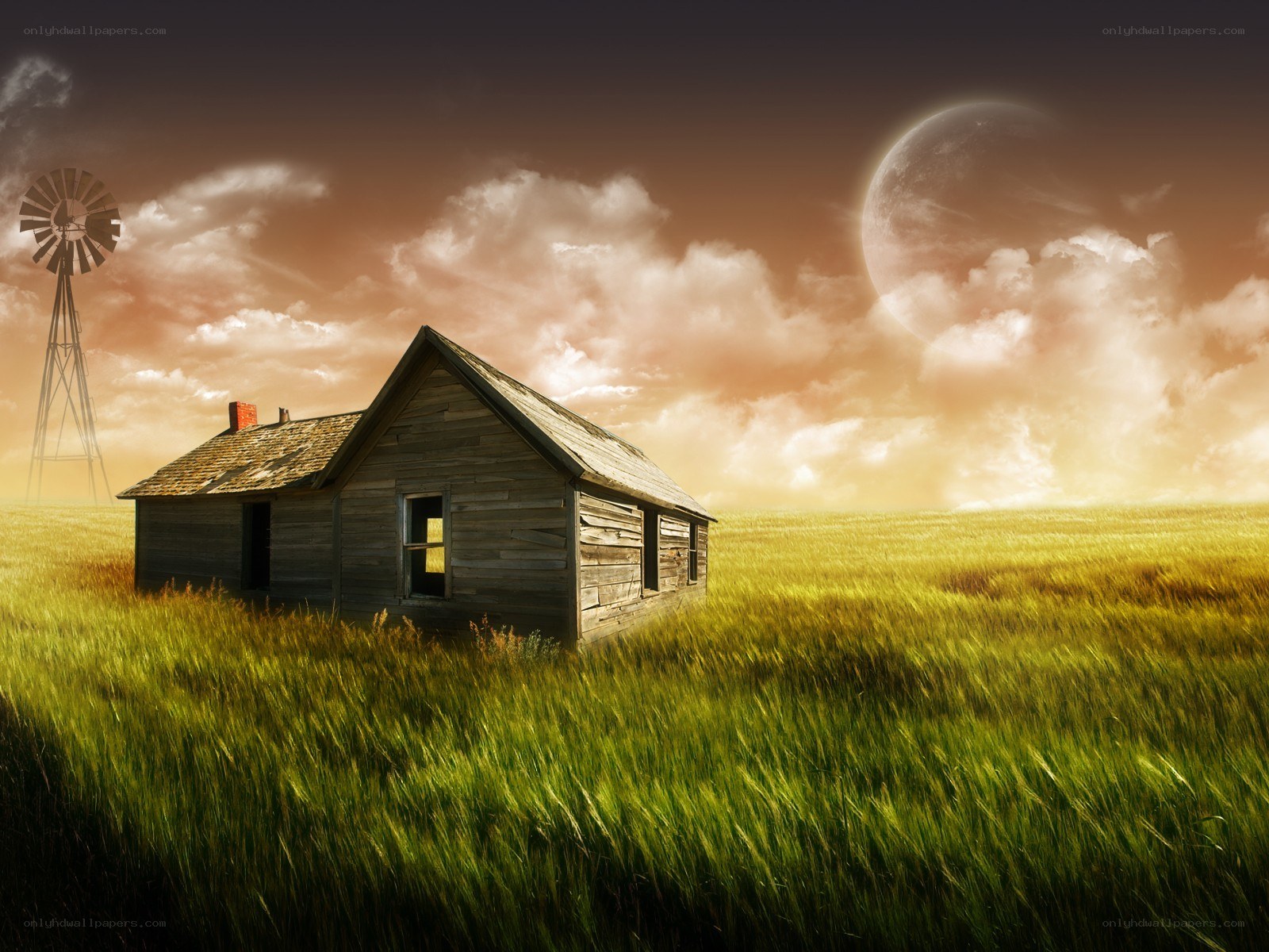 Abandoned cabin in a field