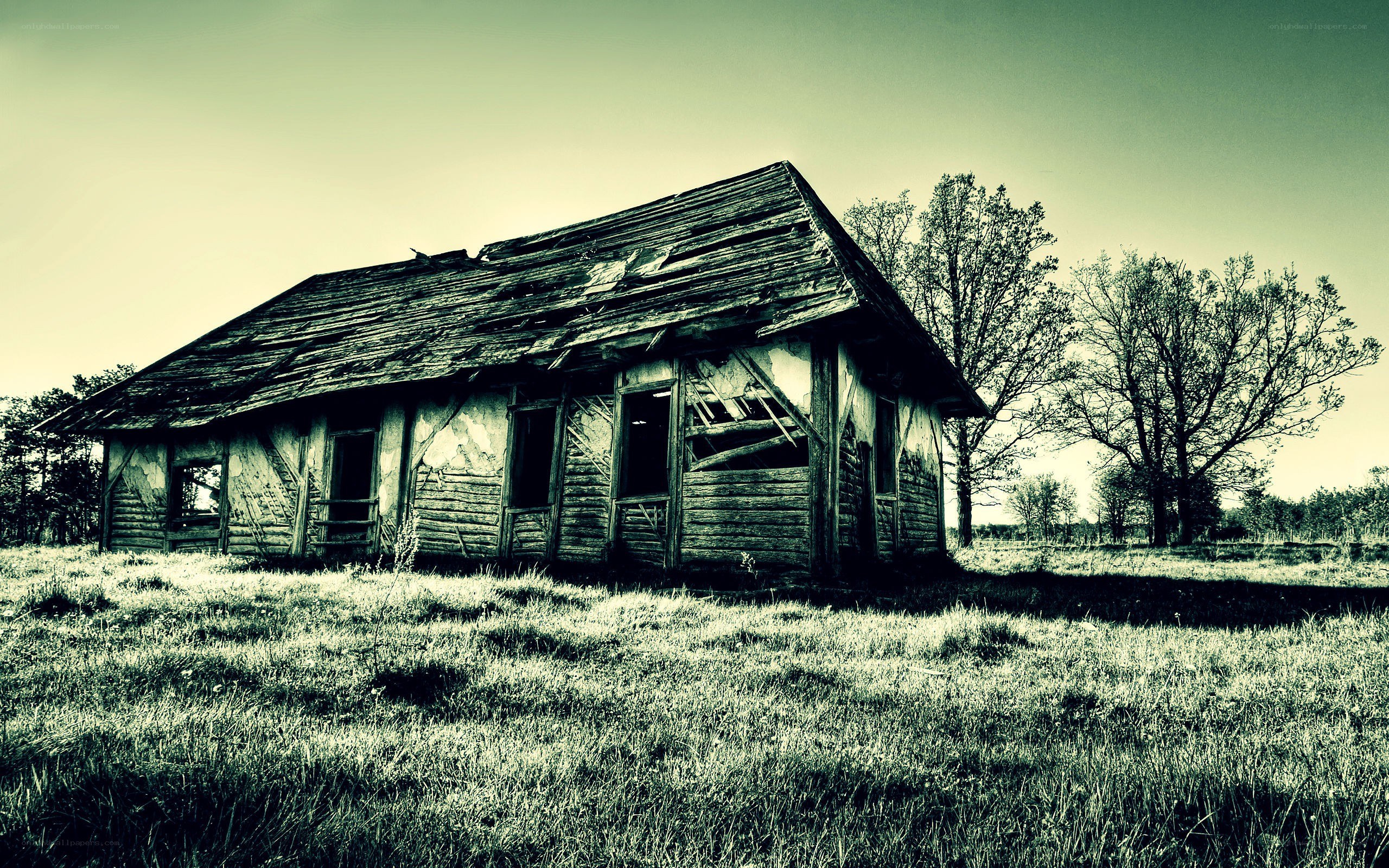 abandoned cabin in a field